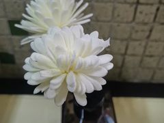 -香港華心糖水鋪(南西总店)