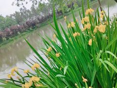 -白鹭湾湿地公园