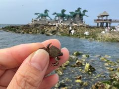 -养马岛旅游度假区
