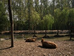 -溱湖国家湿地公园