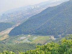 -惠山国家森林公园