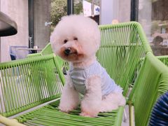 -Wagas沃歌斯(大学路店)