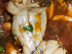 -石锅苗苗鱼(武汉首店)