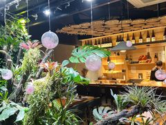 -森味薪火烧•烧鸟居酒屋•日本料理(望京店)
