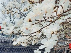 -雍和宫(地铁站)
