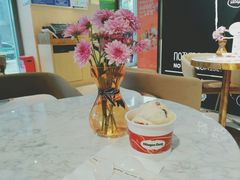 -哈根达斯(西安高新店)