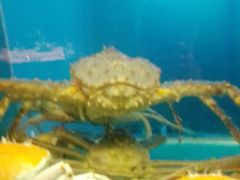 -阳光码头海鲜火锅(玉立路店)