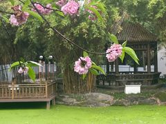 -塔子山公园