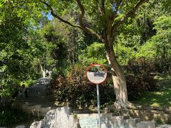 -火炉山森林公园