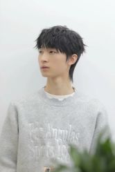-YESIDO椰岛造型