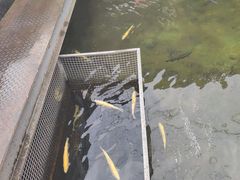 大堂-京北渔家傲