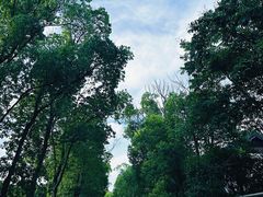 -同里国家湿地公园