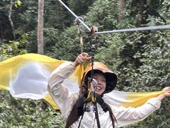 -西双版纳原始森林公园