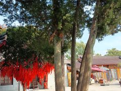 -东钱湖旅游度假区