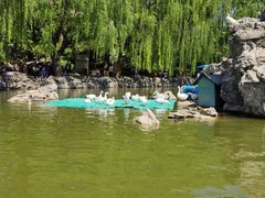 -团结湖公园