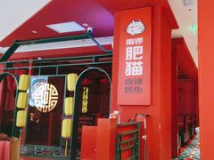 -南锣肥猫·麻辣烤鱼·16年现烤现卖(财富购物中心店)