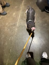 -Zoolung Zoolung动物主题公园(海信广场店)