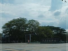 -东莞植物园