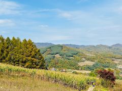 -老秃顶草原景区