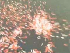 -圣爵菲斯大酒店(长沙世界之窗店)