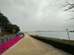 -深圳湾公园(南山区)