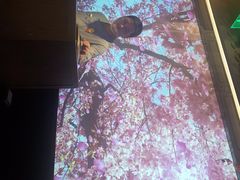 -绿茶餐厅(首开福茂店)