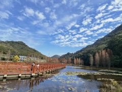 -广州市石门国家森林公园