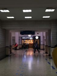-上海交通大学医学院附属上海儿童医学中心(陆家嘴总院区)