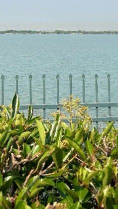 -江滩湿地公园