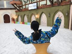 -世界之窗阿尔卑斯冰雪世界