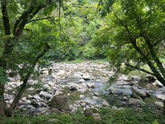 -石台牯牛降景区