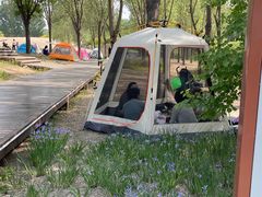 -东郊湿地公园