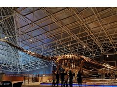 -世界恐龙谷景区