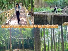 -洛阳白云山景区