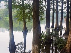-重庆彩云湖湿地公园