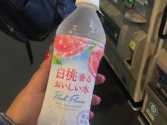 -台场海滨公园船码头