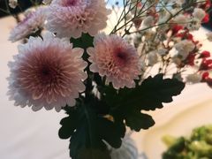 -静之湖湖畔餐厅