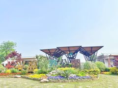 -上海长兴岛郊野公园