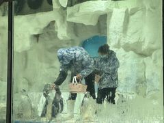 -华夏文旅西安度假区