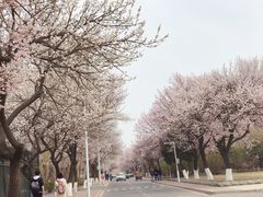 -吉林大学(南岭校区)