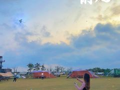 -春花秋色城市公园