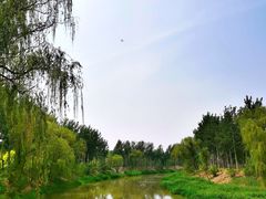 -东郊湿地公园