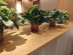 -阿源鱼捞斑鱼火锅·海鲜粥(山景尚宅店)