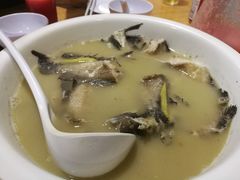 -ZF Seafood Restaurant 卓峰海鲜餐