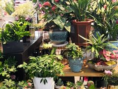 -胖东来生活广场(健康路店)