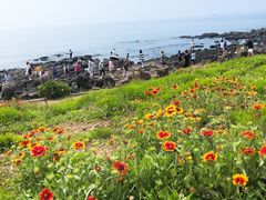 -Cafe Aewol Monsant