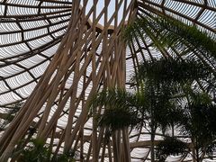 -江门古劳水乡旅游区