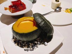 -梧桐