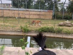 -上方山森林动物世界