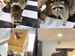 -六鳌翡翠湾滨海度假景区